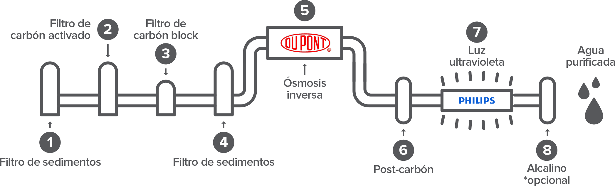 8-pasos